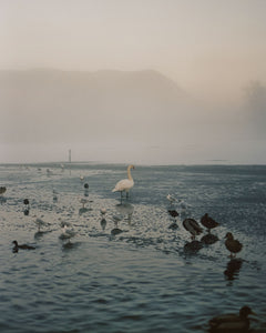 Frozen Lake