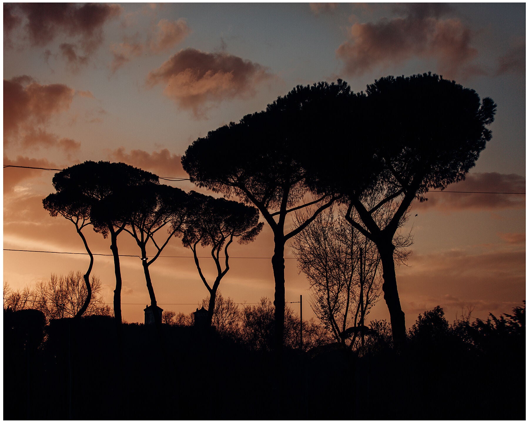 Villa Borghese, Rome